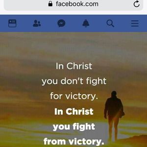 Meet your Posher, Elsa